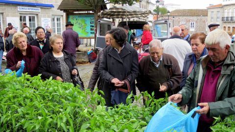 Los puestos de plantas (como el de la foto) y los de productos agroalimentarios son los únicos que se podrán instalar hoy en Chantada