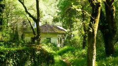 Imagen de las ruinas del balneario. Se encuentra a 12 kil�metros de Lal�n, a 300 metros siguiendo una pista que parte de Ponte Vilari�o, en la N-640. La finca colinda con la del Merendeiro do Arnego