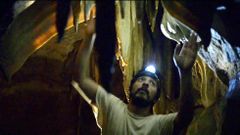 M�sica en las estalactitas de las cuevas de O Courel�