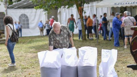 Festa da Malla en Castro de Rei. 