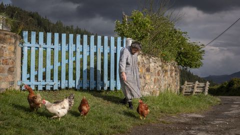 Obra fotogr�fica de la muestra Despunte
