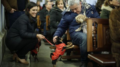 MISA Y BENDICIN DE LAS MASCOTAS CON MOTIVO DEL SAN ANTONIO EN LA IGLESIA DE LA ORDEN TERCERA