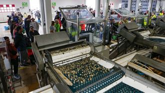 Imagen de archivo de la lonja de Testal