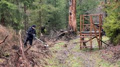 Un agente de polic�a alem�n rastrear con un detector de metales para tratar de localizar el arma con el que se cometi� el crimen