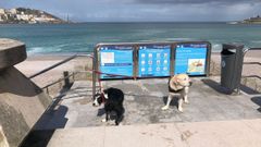 Rescatan a dos personas y a dos perros en A Coru�a