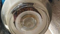 Filtro sucio de un grifo de una casa de la zona afectada