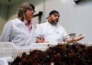 Rosa Quintana y Antonio Mu��os, ayer, durante la visita a las instalaciones de O Acevedo. 