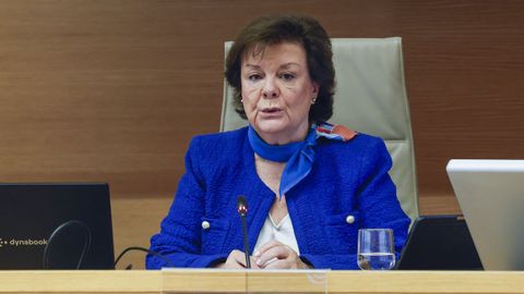 La presidenta del Tribunal de Cuentas, Enriqueta Chicano, en una comparecencia reciente en el Congreso