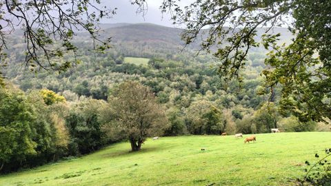 El camino de las dos estapas est rodeado de bosques y prados, adems de inmuberables animales