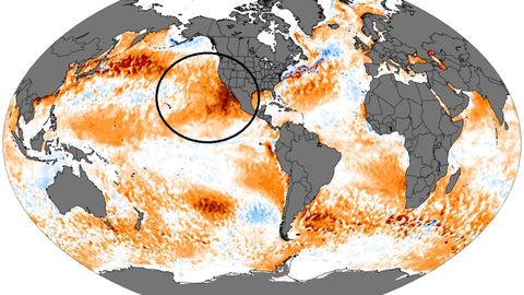 En el mapa global�de las anomal�as de temperatura de los oc�anos destaca la ola de calor marina en el Pac�fico norte