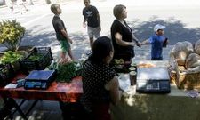 El mercado tendr� como escenario la Plaza da Torre, igual que el resto de las ferias sabatinas.