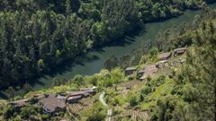 Un recorrido en im�genes por el camino de Cibrisqueiros a San Cosmede