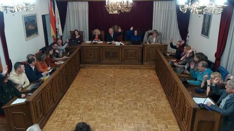 Manuel Nez (de jersey gris en la fila de la izquierda) vot con BNG y PSOE.