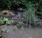 Imagen de la zona donde se detectaron aguas contaminadas. 