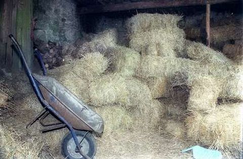 Los fardos de droga fueron encontrados en 1998 ocultos entre estas pacas de heno.