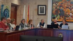 Pleno del Concello do Carballi�o presidido por Jos� Castro.