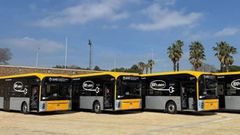 Imagen de parte de la flota de autobuses del grupo en Barcelona