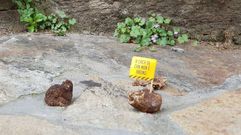 As� son las quejas an�nimas clavadas en heces y pegadas en los coches de Compostela