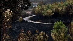 Investigan a un grupo organizado en los incendios de Pazos de Borb�n
