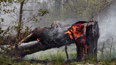 Uno de los focos del incendio declarado el pasado mes de mayo en la Sierra de Sollera, en los concejos de Grado, Candamo y Salas.