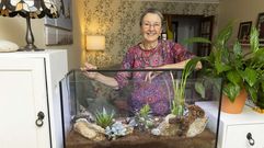 Edit es desde el 2022 vecina del municipio de Fisterra