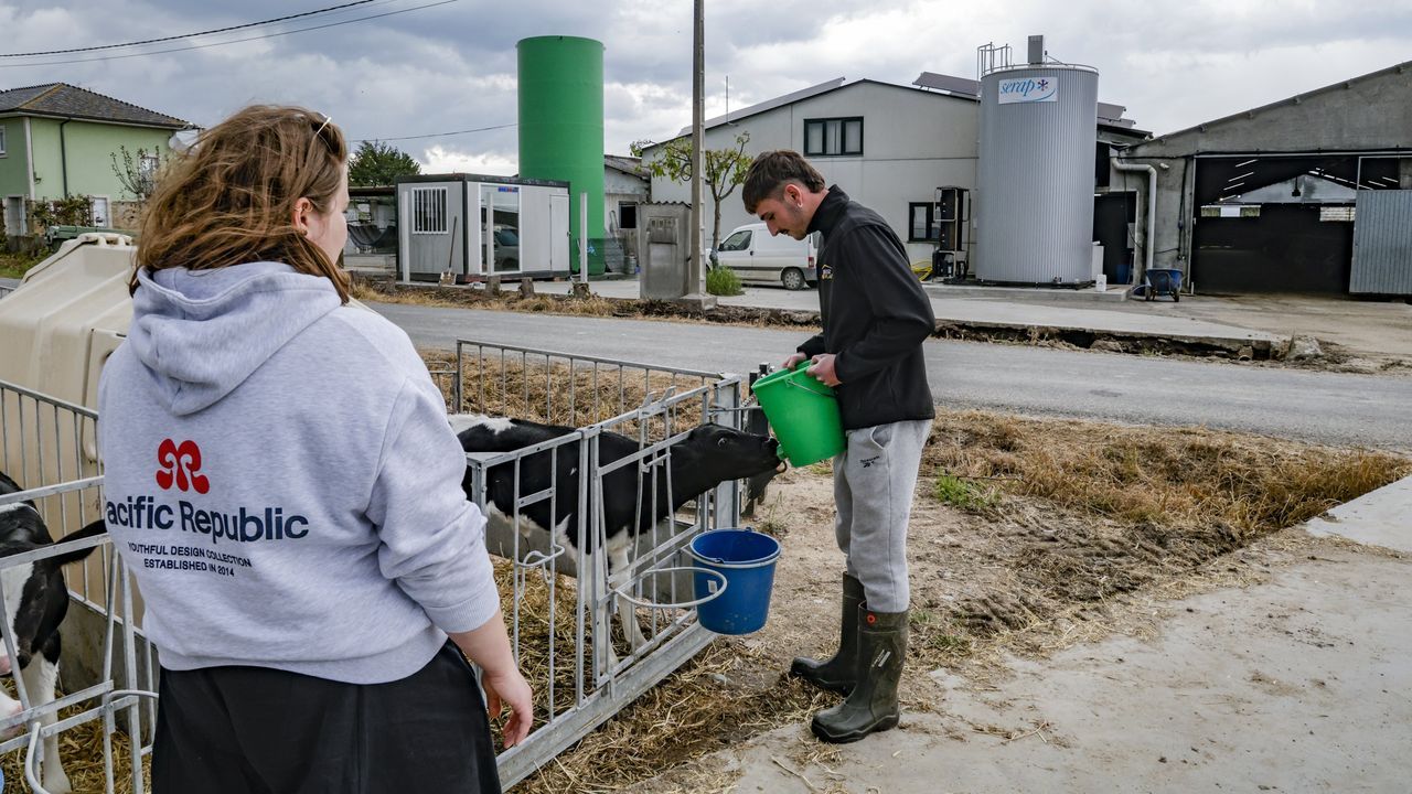 De estudiar Moda a criar vacas: la historia de Iris y Noel en el campo