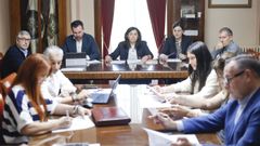 Mar�a Reigosa volvi� a participar en la junta de gobierno local