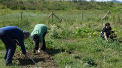 La Bra�ina, la huerta comunitaria de Nuevo Gij�n.La Bra�ina, la huerta comunitaria de Nuevo Gij�n
