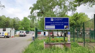 Albergue de Animales de Oviedo.