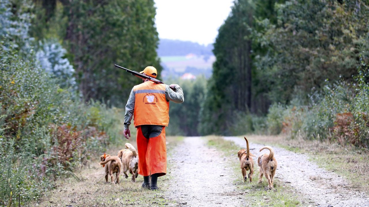 Medio Ambiente abrirá la temporada de caza el 18 de octubre y mantendrá la prohibición sobre el lobo