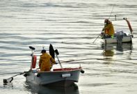 Mariscadores faenando en As P�as, uno de los bancos m�s productivos de Galicia. 
