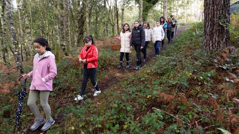 Actividad micolgica de los alumnos del CEIP Lagostelle, de Guitiriz, en Sete Muos