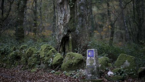 As� es el Cami�o Primitivo a su paso por el municipio de Lugo