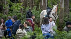 Moldes volvi� a celebrar su tradicional romer�a