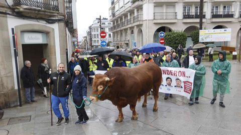 Ysma Medina y Diego Cascudo, con su buey Pancho, en la cabeza de la manifestaci�n