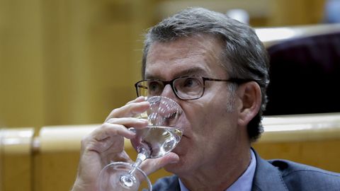 Alberto N��ez Feijoo en el Senado.