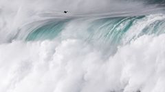 Cormor�n mo�udo sobrevolando una ola de ocho metros en la costa occidental asturiana