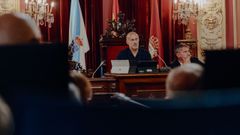 El alcalde convoc&oacute; este viernes un pleno monogr&aacute;fico sobre el bono comercio.