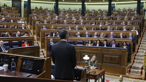 Pedro S�nchez durante una sesi�n en el Congreso de los Diputados.