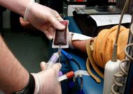 Una campa�a de donaci�n   de sangre en la comarca.