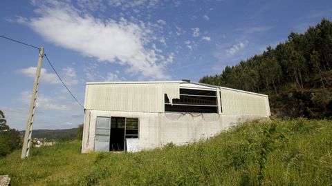 El pabell�n de bamio ser� uno de los puntos de actuaci�n