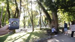 A sombra das �rbores baixa�as temperaturas