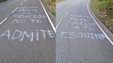 Pintadas contra la alcaldesa de Ponga, Marta Mar�a�Alonso Guijarro