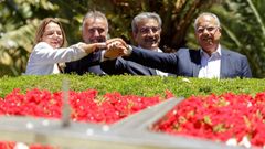Los firmantes del �pacto de las flores�, que permitir� gobernar al socialista �ngel V�ctor Torres (segundo por la izquierda) en Canarias