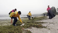 ACTOS CONTRA EL CAMBIO CLIM�TICO EN BARBANZA