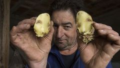 La detecci�n de polilla de la patata en Mux�a desata la alarma en toda la zona