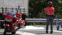 Detenido un ertzaina tras matar a un camionero