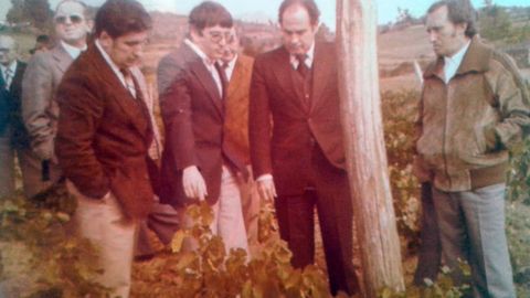 Viñedos experimentales. Visita a uno de los viñedos experimentales de Valdeorras donde se investigó cómo cultivar la uva godello.