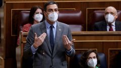 El presidente del Gobierno, Pedro Snchez, durante la sesin de control