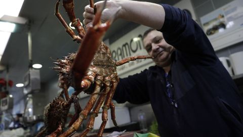 Marisco y pescado en la plaza de Lugo, en A Corua